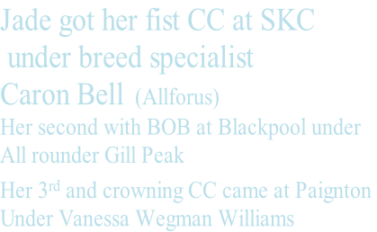 Jade got her fist CC at SKC  under breed specialist  Caron Bell  (Allforus) Her second with BOB at Blackpool under All rounder Gill Peak Her 3rd and crowning CC came at Paignton  Under Vanessa Wegman Williams