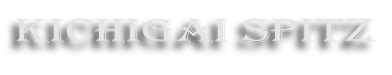KICHIGAI SPITZ