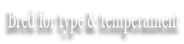 Bred for type & temperament
